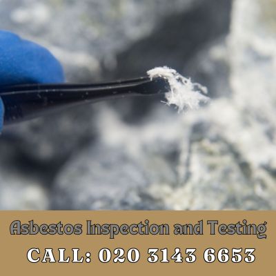 Comprehensive Asbestos Inspection and Testing Services in Finchley Central